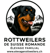 rottweiler.leonar-portfolio.com